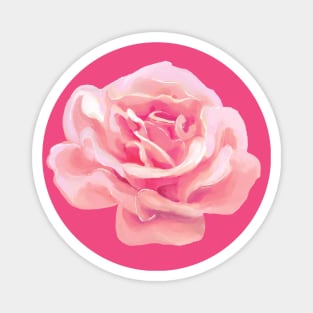 Pink Rose Magnet